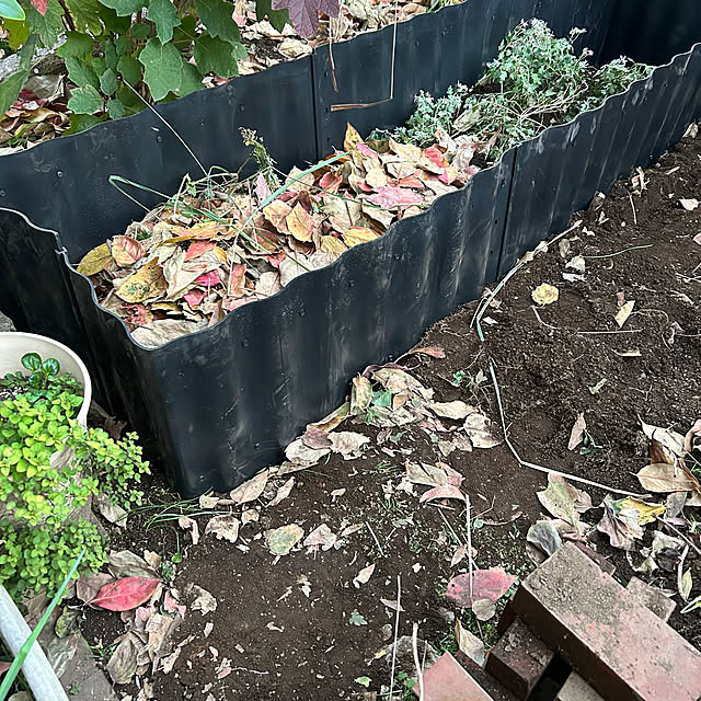 botanさんの部屋