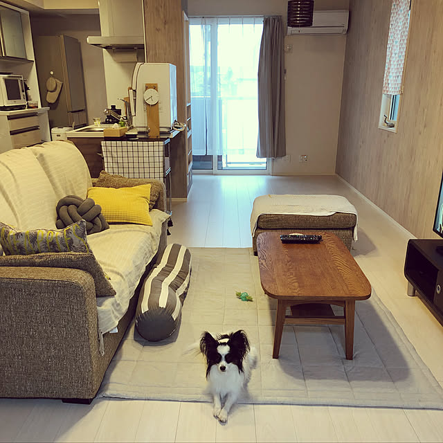 neriさんの実例写真