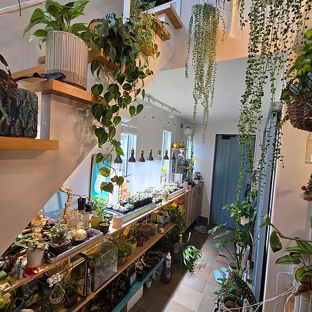 nonbiri_house_さんの部屋
