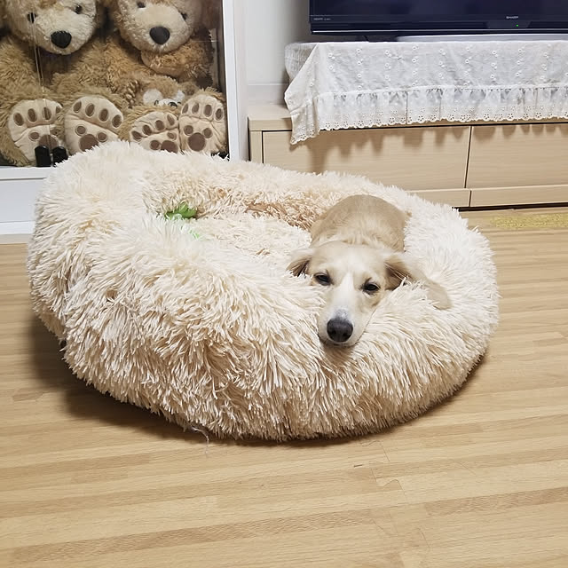 Luckyさんの実例写真