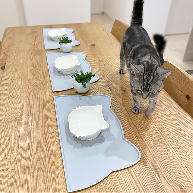 furitamaさんの実例写真