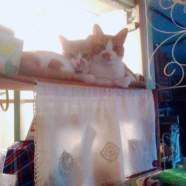 DeeptiAntarさんの実例写真