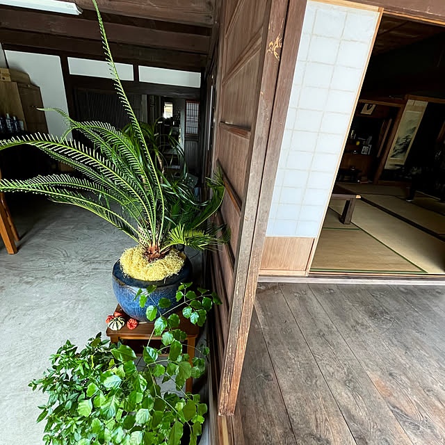 cotaさんの部屋