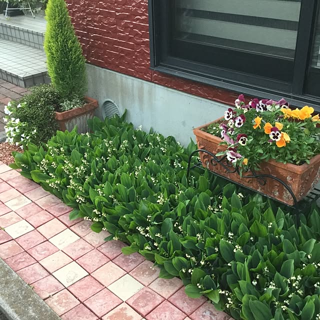 ekkoさんの実例写真