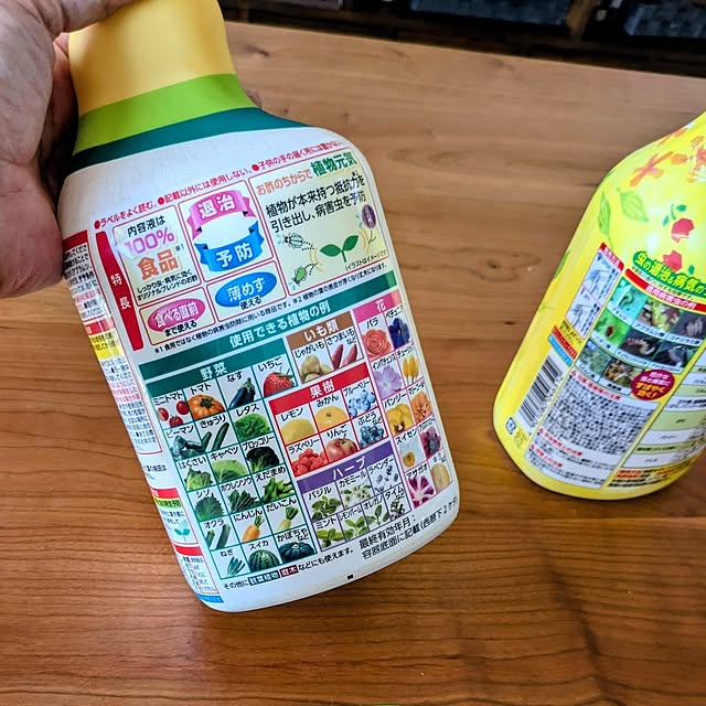 mi-saさんの部屋