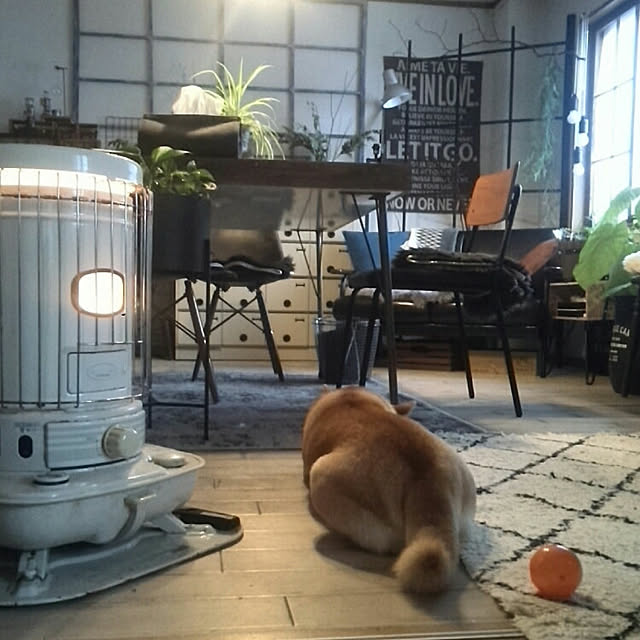kさんの実例写真