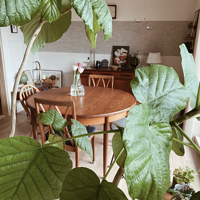 c___homeさんの実例写真