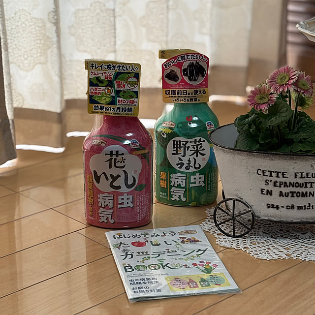 maayaさんの部屋