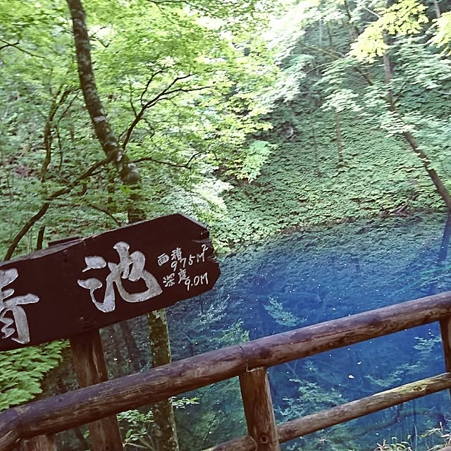 実例写真