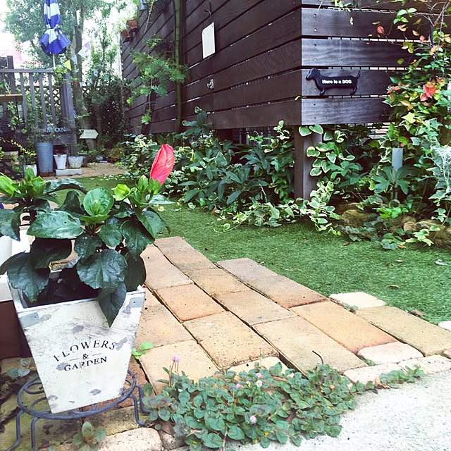 risaさんの実例写真