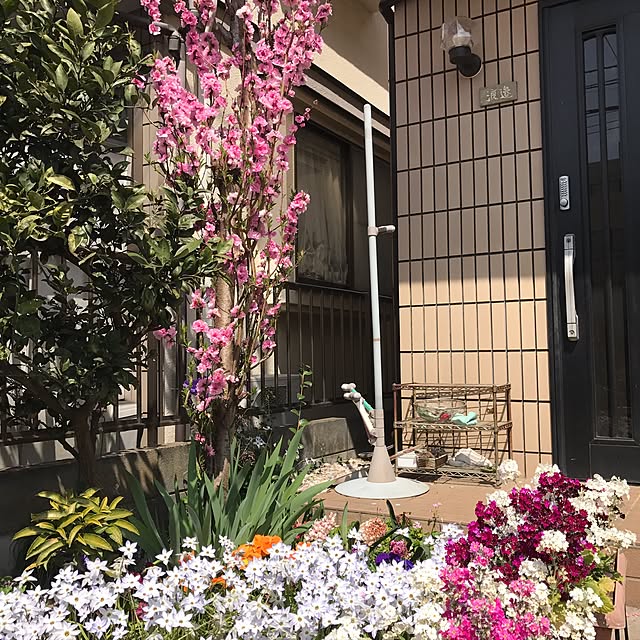 ri-さんの実例写真