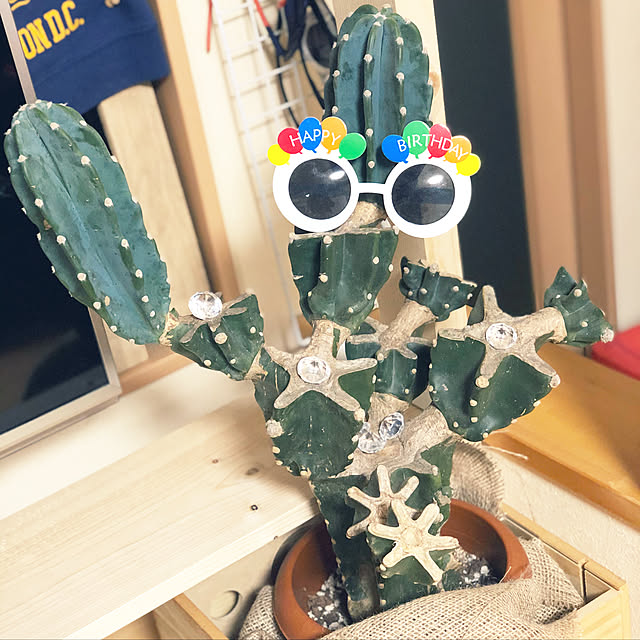Tommmmyさんの実例写真