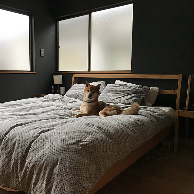 eucaさんの実例写真