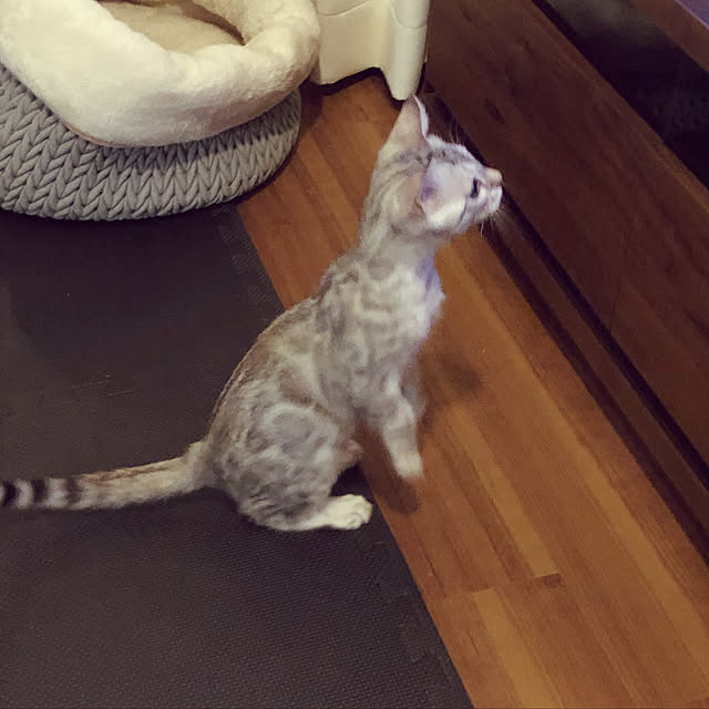 yuさんの実例写真