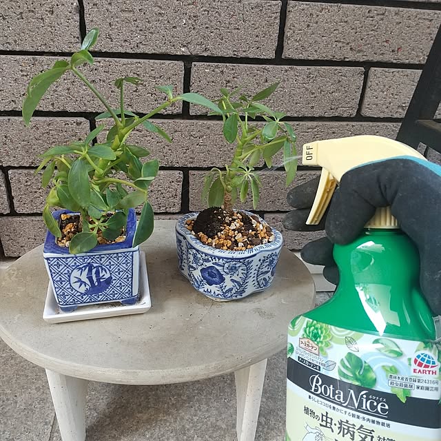 Rさんの部屋