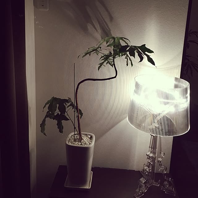 Yukiさんの実例写真