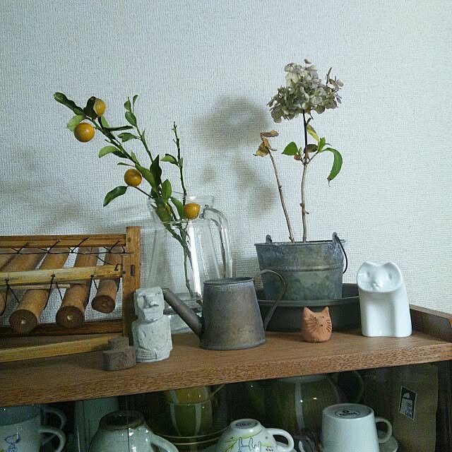 coroさんの実例写真