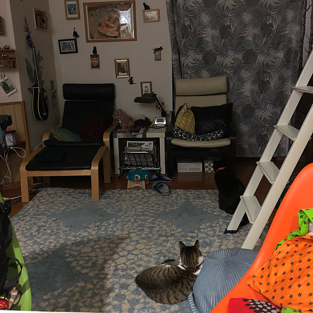 jijiさんの実例写真