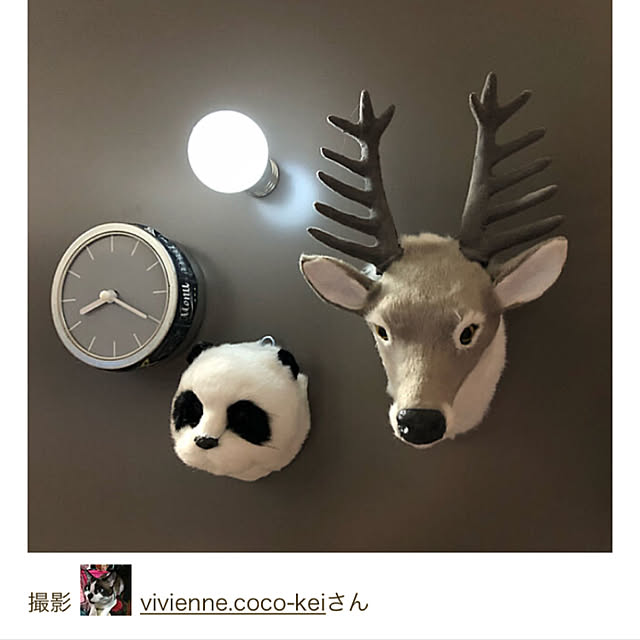 vivienne.coco-keiさんの実例写真