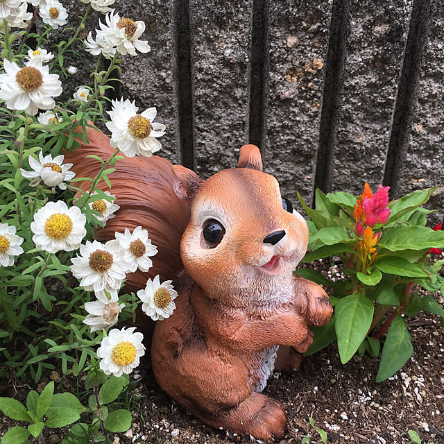 Karinさんの実例写真