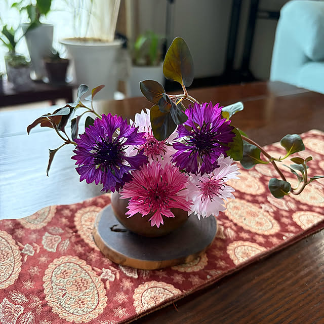 ritsukoさんの部屋