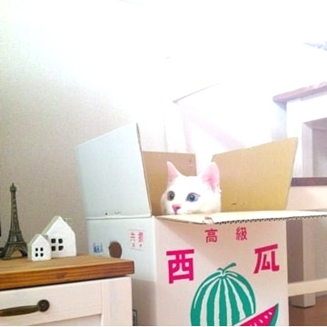 kaoさんの実例写真