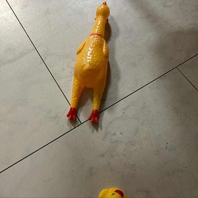 manduonmaさんの実例写真