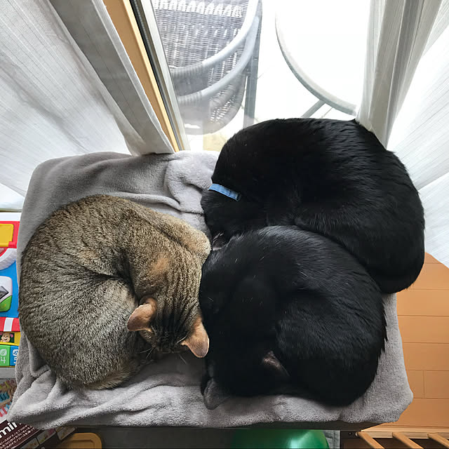 yuki0511さんの実例写真