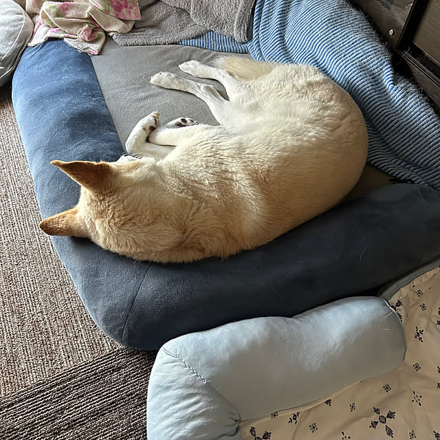 tanboさんの実例写真