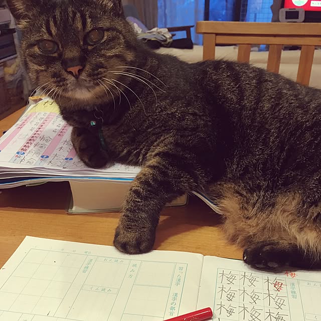 buchikoさんの実例写真