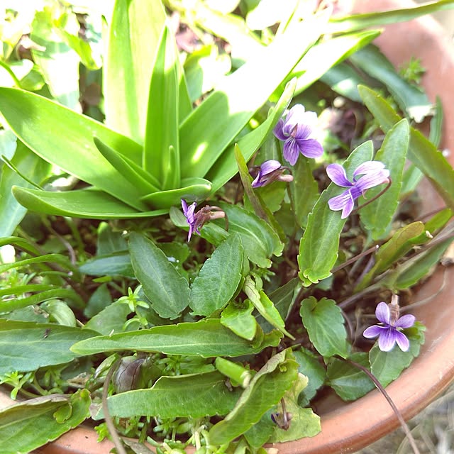 katさんの実例写真