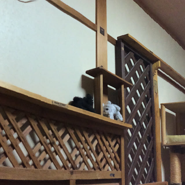 bebi.kさんの実例写真