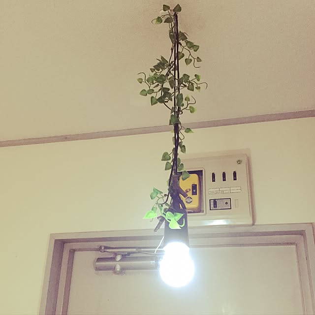 Asukaさんの実例写真