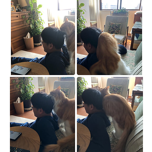 uchidaizuさんの実例写真