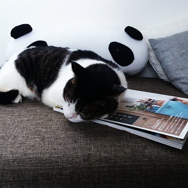 minkokoさんの実例写真