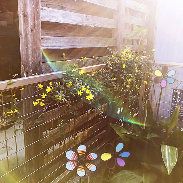 portulacaさんの実例写真