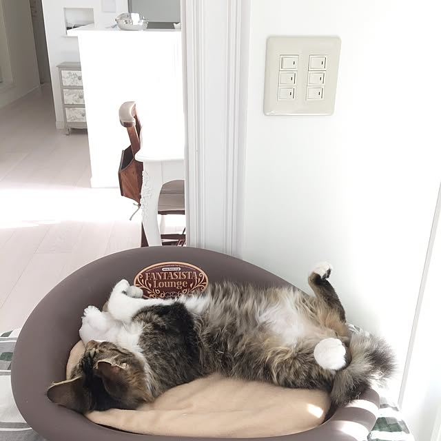 yuchiさんの実例写真