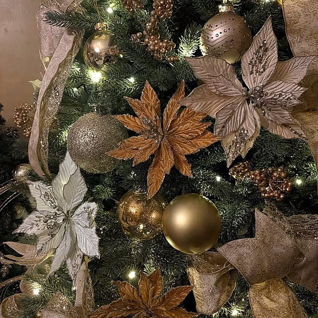 ryo4456さんの部屋