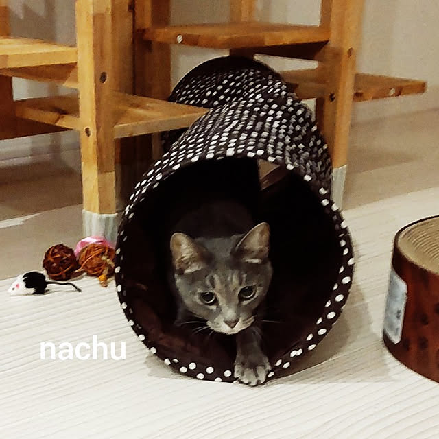 nachuさんの実例写真