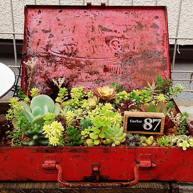 Haruminさんの実例写真