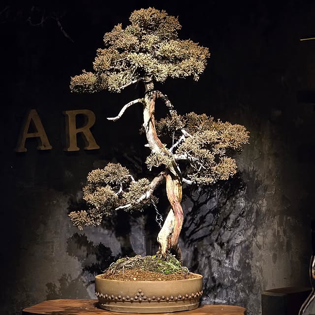 kyoro_designさんの実例写真
