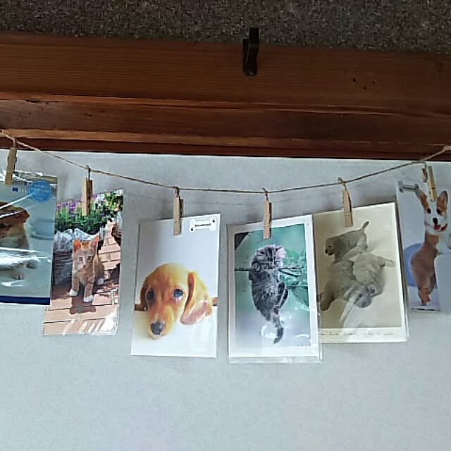 Yukappeさんの実例写真