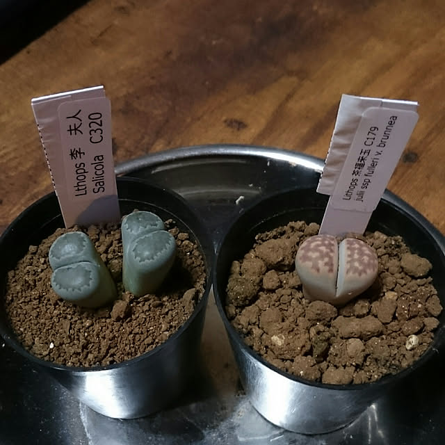 tikuwaさんの実例写真
