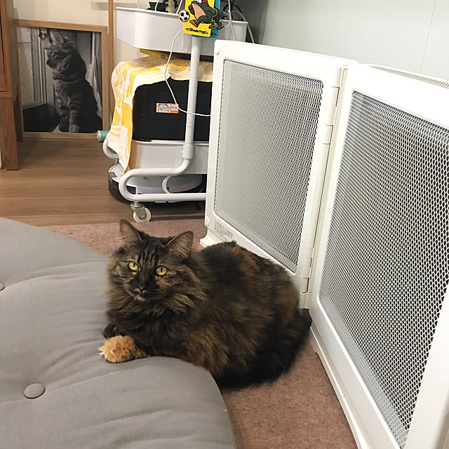 mikomaruさんの実例写真