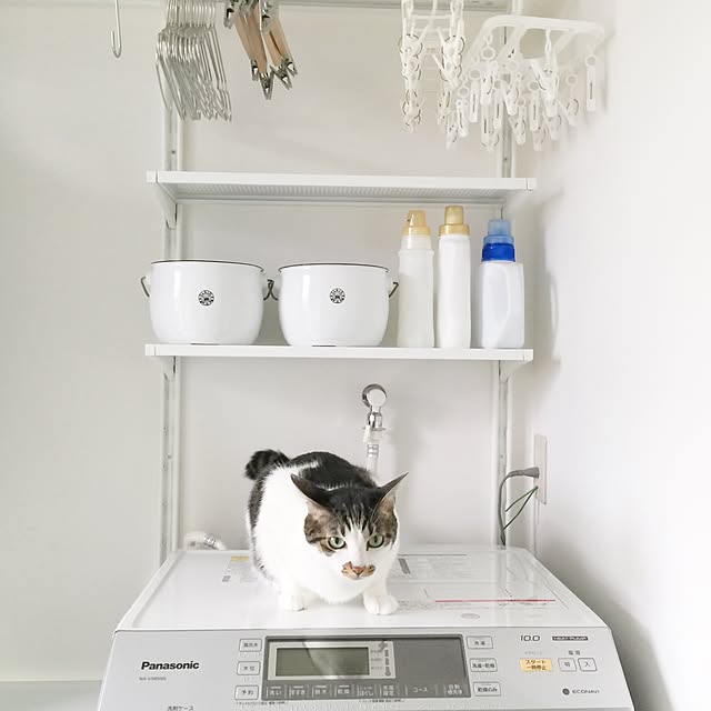 yuchiさんの実例写真