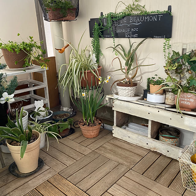 mamiさんの実例写真