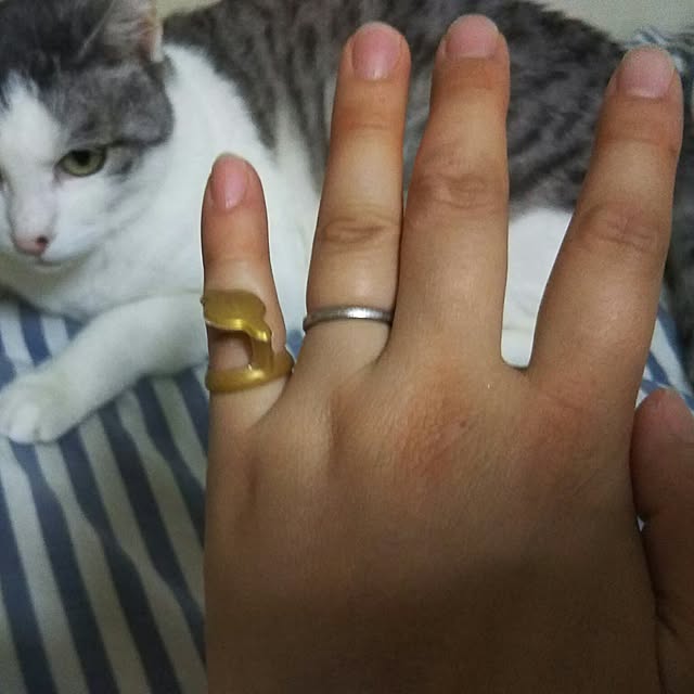 rucagonさんの実例写真