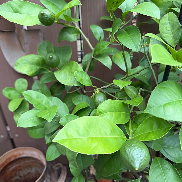 tabasaさんの部屋