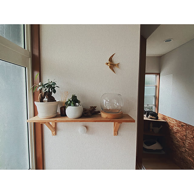 ttoさんの実例写真