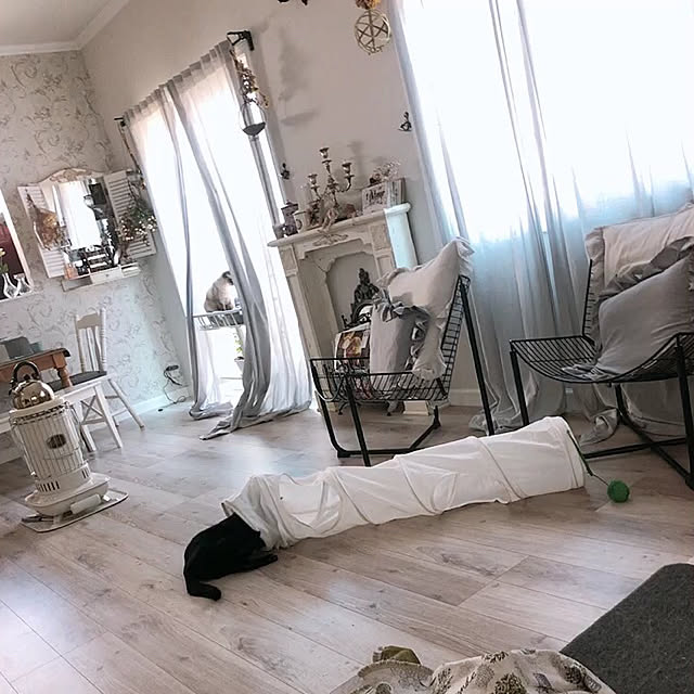 akirisさんの実例写真